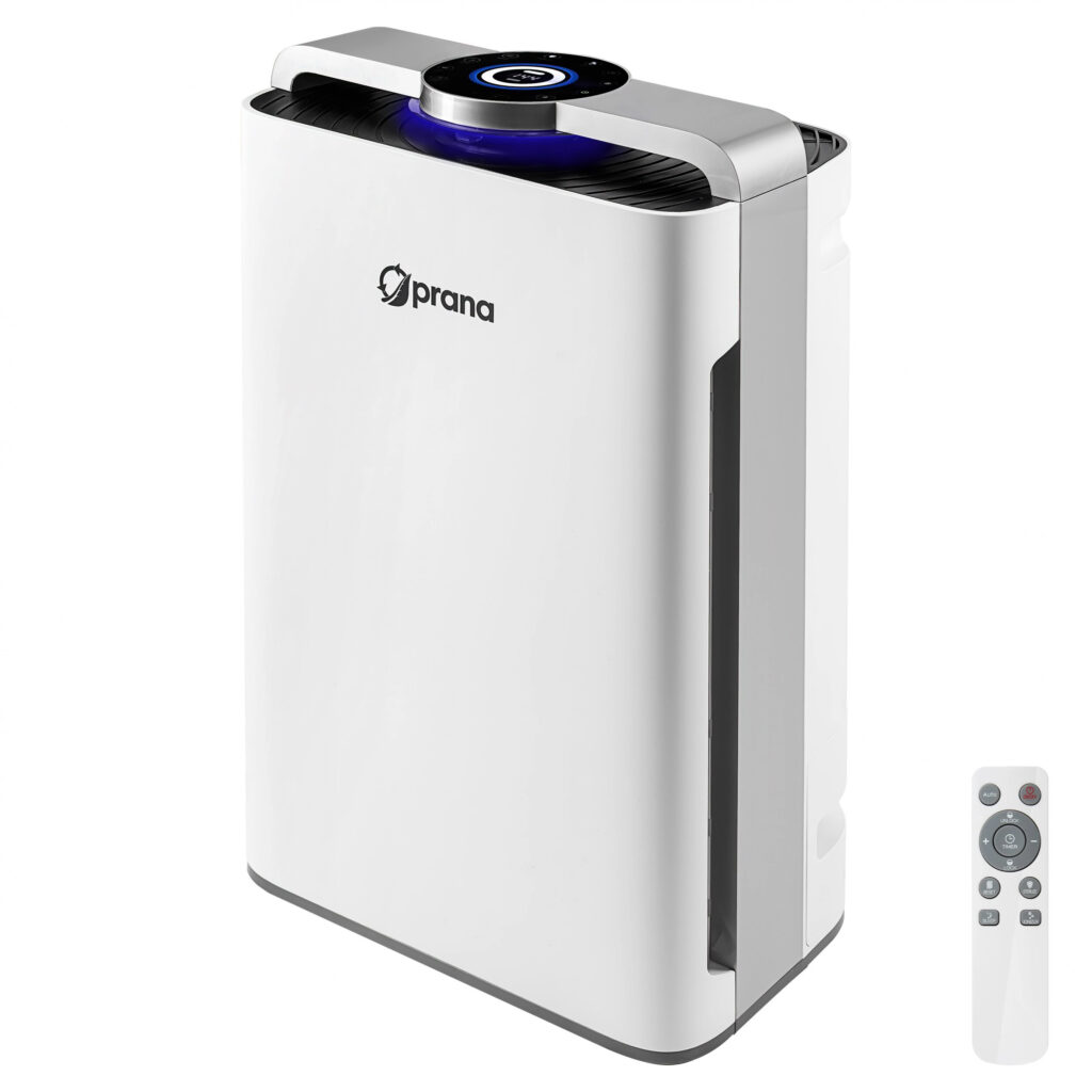 Кліматичний комплекс Prana Air Cleaner Pro - найкращий за функціоналом варіант у рейтингу